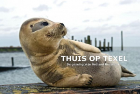  Thuis op Texel  Ден Бург 